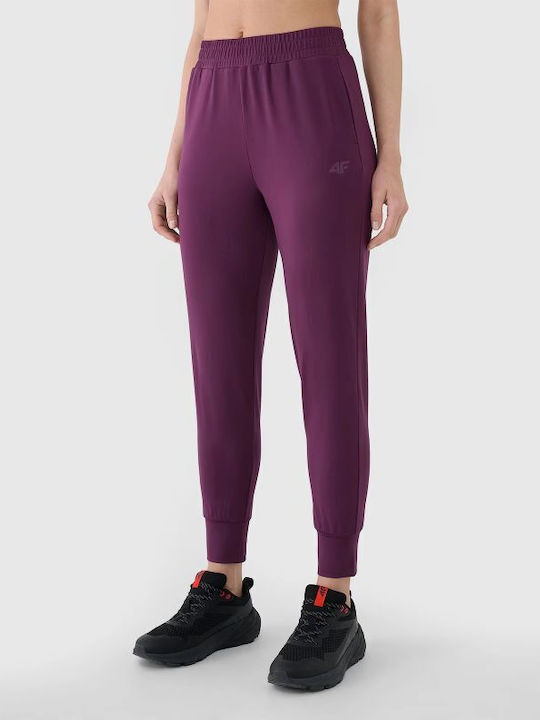 4F Jogginghose Lila