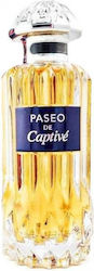 Pendora Scents Paseo De Captive Eau de Parfum 100ml Pendora Scents Paseo De Captive Eau de Parfum 100ml