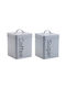 TnS Set of 2pcs Jars General Use with Lid Metallic Gray 11.2x16.5cm