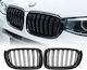 Mtuning Sports Grill Double Ribs Gloss Black BMW X3 F25 X4 F26 Facelift 2014-2018