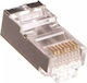 Digitus Ștecher RJ-45 100buc Alb