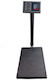 Precision Commercial Scale with Weighing Capacity of 150kg and Division 100gr