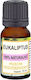 Essential Oil Eucalyptus 10ml