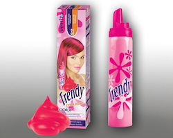 Venita 33 Purpura Venita 33 Purpura