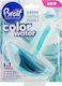 Brait Block Toilette 40gr