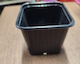 Square Nursery Pot 9x9x8