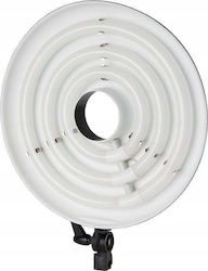Lampă Inelară Freepower Lampă Inelară Falcon Rfl-3 90W