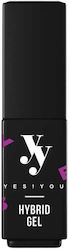 Professional Hybrid Gel Shade 17