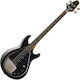 Epiphone Elektrischer Bass