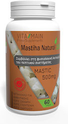 Vitamain Мастиха Натурална 100% 500мг 60 Капсули