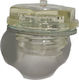 Paterlini Oil Indicator B4900 1/2"