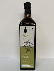 Xiros Exzellentes natives Olivenöl mit Aroma Fruchtig 1Es 1Stück