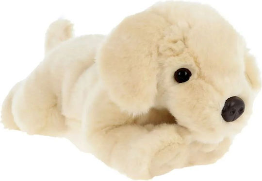 Keel Toys Λούτρινο Σκυλάκι 35 εκ.