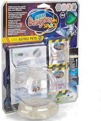 Aqua Dragons Spiel