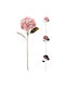 Zweigstelle Hortensie Durchmesser 18cm Höhe 76cm Verschiedene Designs