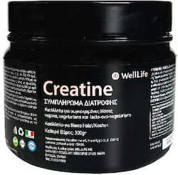 WellLife Creatina Monohidrat 300gr