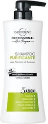Purifying Shampoo Biopoint 400ml