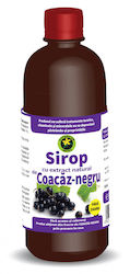 Low-calorie Blackcurrant Syrup 500ml Hypericum Impex