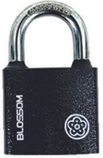 Blossom Steel Padlock Brass with Key 74mm 1pcs