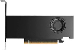 PNY RTX Pro 2000 Blackwell 16GB Cutie mică