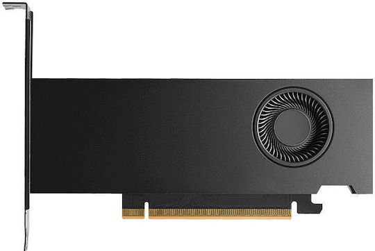 PNY RTX Pro 2000 Blackwell 16GB GDDR7 Smallbox Graphics Card