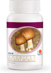 DXN Agaricus Blazei Murill 30 Capsules DXN Agaricus Blazei Murill 30 Capsules