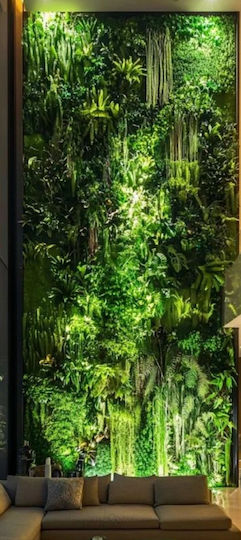 Grădină Artificială Gigant Perete Diverse Ferigi Epilobiu H 4m x 3,50m