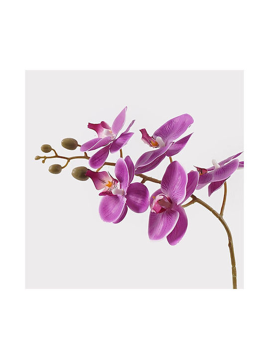 Decorative Potted Plant Orchid Beauty Inart 30x13x46cm