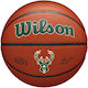 Wilson Team Alliance Bskt Basketball