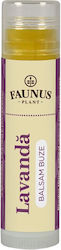 100% Natural Lavender Lip Balm 5ml Faunus Plant 100% Natural Lavender Lip Balm 5ml Faunus Plant