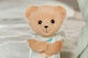 ZAPF Creation Plush Baby Born 26 cm