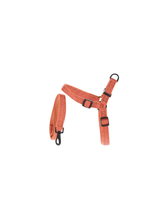 Set Dog Harness And Leash 120 Cm Orange