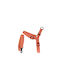 Hundegeschirre & Riemen für Hunde 120 cm Orange