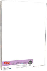 Next Synaps Printing Paper A4 450gr/m² 500 sheets