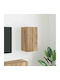 Hängeschrank fürs Wohnzimmer aus Spanplatte in Walnuss 30x31x60 cm