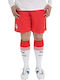 Σορτς Ολυμπιακός Puma Εντός Έδρας 2013/14 Replica 743641-01 Ανδρικό