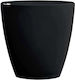 Waf Champagners simple Acrilic cu dimensiunile ...