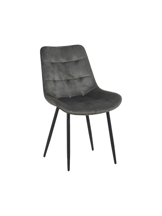 Berne Stühle Speisesaal Anthracite 4Stück 53x62...