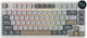 Royal Kludge RK N80 Wireless Gaming Mechanical ...