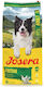 Josera Festival 10kg Dry Food Gluten-Free for Adult Dogs with Salmon