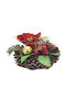 ArteLibre The translated Liquid template in German language: Weihnachtskerzen & Kerzenständer Kerzenleuchter Rot 14.5cm.
