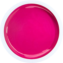 Alezori Painting Gel Gel pentru Unghii ROSE PIN...
