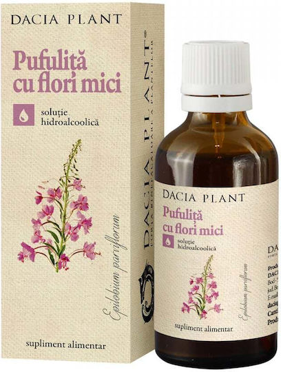 Small-flowered Mullein Tincture 50ml Dacia Plant