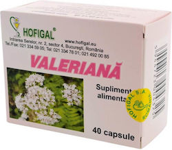 Hofigal Valeriană 40 Capsule