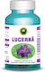 Lucerna 60 Capsule Hypericum