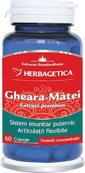 Herbagetica Extract Standardizat Cat's Claw 60 Capsule