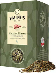 Faunus Plant Τσάι 90 Φακελάκια 90gr