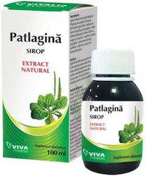Viva Pharma Sirop de Pătlagină 100 Ml Viva Pharma Sirop de Pătlagină 100 Ml