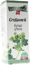 Extract Gliceric Cretisoara Adserv 50 Ml