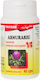 Silimarina 40 Capsule Favisan